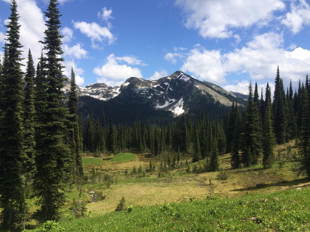 Alpenrose Revelstoke Bed&Breakfast Eksteriør billede